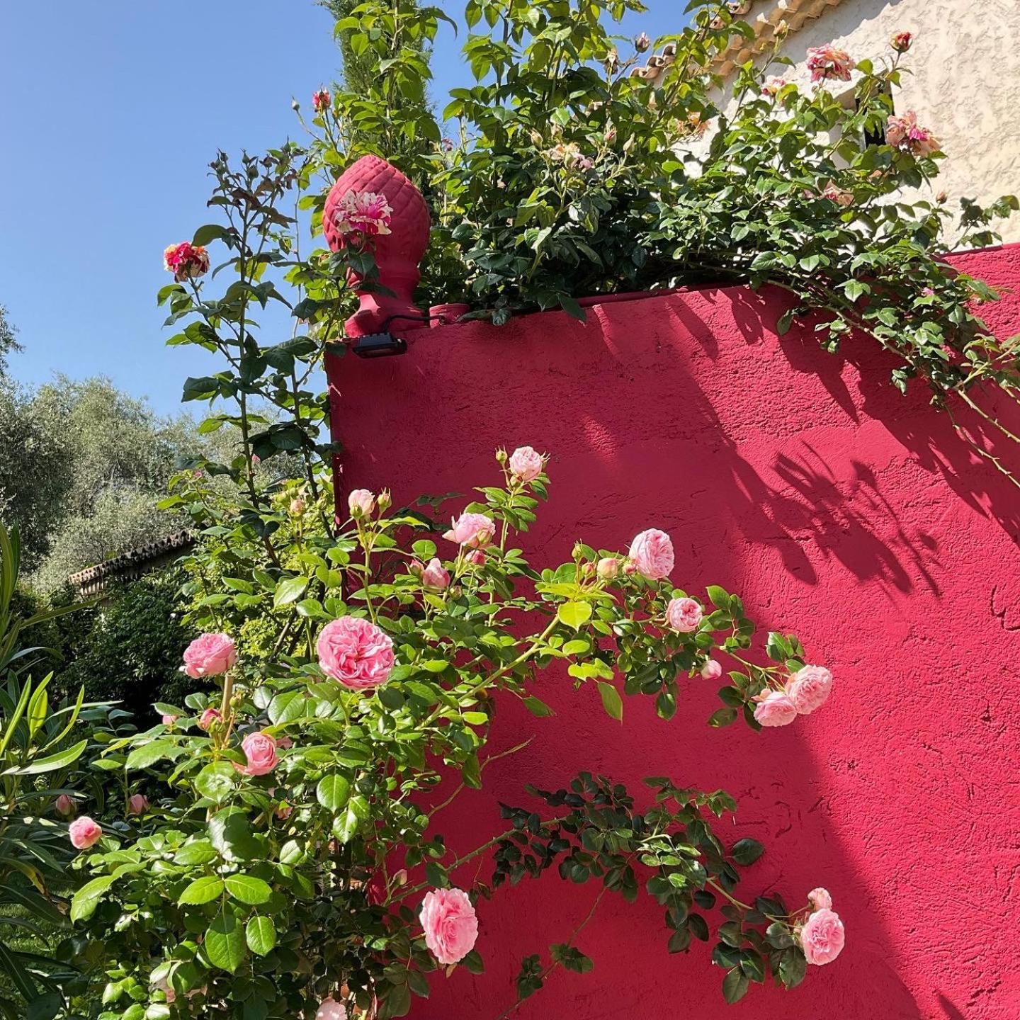 Mas De Provence En Riviera Hotel La Roquette-sur-Var Exterior foto